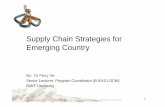Supply Chain Strategies for Emerging Country