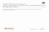 GCSE Science to Level 3 BTEC Extended Certificate in ...
