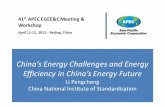 China’s Energy Challenges and Energy Efficiency in China’s ...