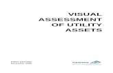 VISUAL ASSESSMENT OF UTILITY ASSETS