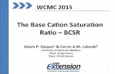 TheBaseCaonSaturaon$ Ra/o$–BCSR