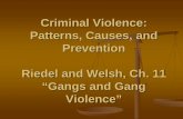 Criminal Violence: Patterns, Causes and Prevention Riedel ...