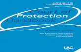 SUPPLEMENT TO THE SECOND EDITION Court of ... - a user's guide