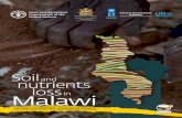 Malawi - Food and Agriculture Organization