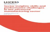 Sector insights: skills and performance challenges in the ...