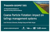Coarse Particle Flotation: impact on tailings management ...