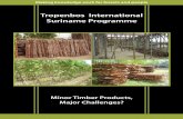 Tropenbos International Suriname Programme