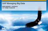 SAP Managing Big Data