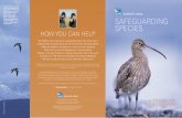 A STRATEGY FOR - The RSPB