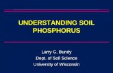 Understanding Soil Phosphorus
