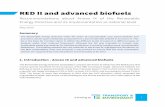 RED II and advanced biofuels - Transport & Environment