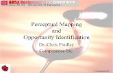 Perceptual Mapping and Opportunity Identification