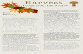 Harvest letter from the Rector