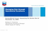 Managing Risk through Operational Excellence