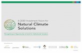 A 2030 Investment Vision for Natural Climate Solutions