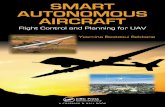 Smart Autonomous Aircraft: Flight Control and Planning for UAV