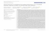 Determinants of elephant foraging behaviour in a coupled ...