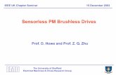 Sensorless PM Brushless Drives