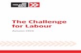 The Challenge for Labour - SKWAWKBOX