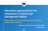 Alternative approaches for the assessment of serious eye