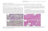 Rapid conversion of chronic myeloid leukemia to chronic ...