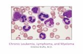 Chronic Leukemia, Lymphoma, and Myeloma