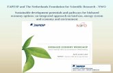 Biofuels in developing countries and rapidly emerging ...