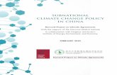 subnational climate change policy in china