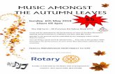 MUSIC AMONGST THE AUTUMN LEAVES - .NET Framework