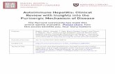 Autoimmune Hepatitis: Clinical Review with Insights into ...