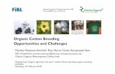 Organic Cotton Breeding Opportunities and Challenges