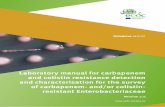 Laboratory manual for carbapenem and colistin resistance ...
