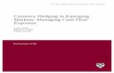 Currency Hedging in Emerging Markets: Managing Cash Flow ...