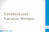 Cerebral and Lacunar Strokes
