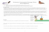 Primary Consumer Lab - Weebly