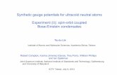 Synthetic gauge potentials for ultracold neutral atoms ...