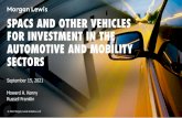 SPACS AND OTHER VEHICLES FOR INVESTMENT IN THE …