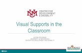 Classroom Visual Supports in the