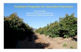 Fertilizers ProgramsPrograms forfor AvocadoAvocado ...