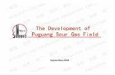 TheDevelopmentofThe Development of Puguang Sour Gas Field