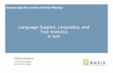 Language Support, Linguistics and Text Analytics - Boston-12-2010