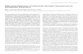 Differential Regulation of Adrenergic Receptor Development by