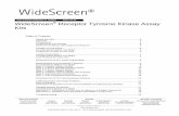 User Protocol TB500 Rev. C 0 510JN Page 1 of 23 WideScreen