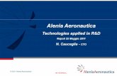ing. N. Cauceglia, Alenia Aeronautica, Chief Technical Officer