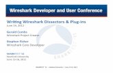 A-1 Writing Wireshark Dissectors & Plug-Ins