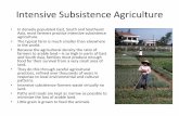 Intensive Subsistence Agriculture - Mr. Allen's Audacious