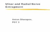 Ulnar and Radial Nerve Entrapment - Memorial University