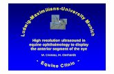 High resolution ultrasound in equine ophthalmology to display the