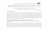 Pathophysiology of Anterior Knee Pain - Patellofemoral