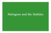 C31J Halogens and the Halides 2008.ppt - The Department of